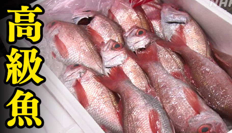 【NHK】「日本人は金払えない」アジアの胃袋に向かう高級魚…競りの主役は中国人