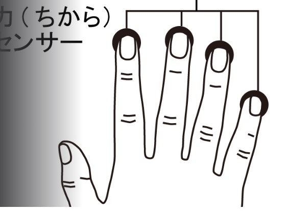 東大「自閉症の人は薬指のほうが人差し指より長い」   「人差し指より薬指の方が長そう」が煽り言葉にw