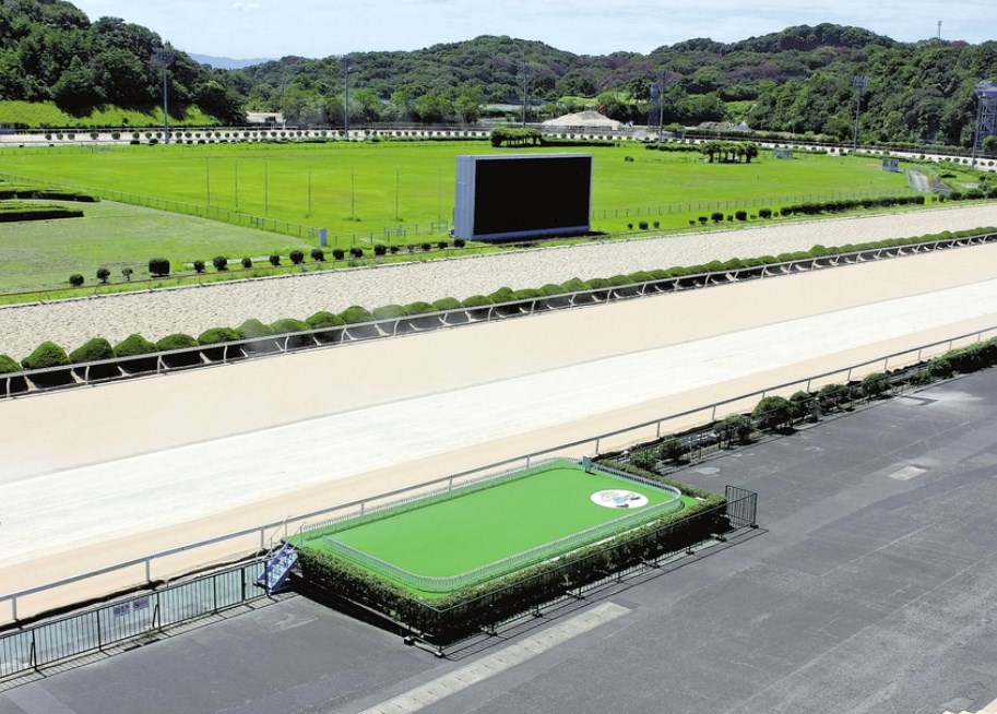 【競馬】年間7700頭が競走馬になり、引退したら殺処分　佐賀競馬も436頭のうち320頭が殺処分や病死　セカンドキャリア支援策考える