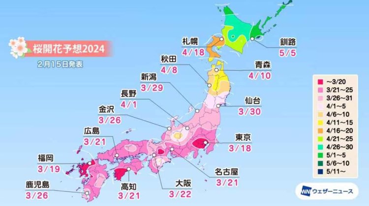 桜の開花、トップは東京の３月１８日　ウェザーニューズ発表、各地で平年より早まる見込み