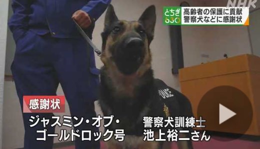 【栃木】９０代の女性を無事発見の警察犬に感謝状