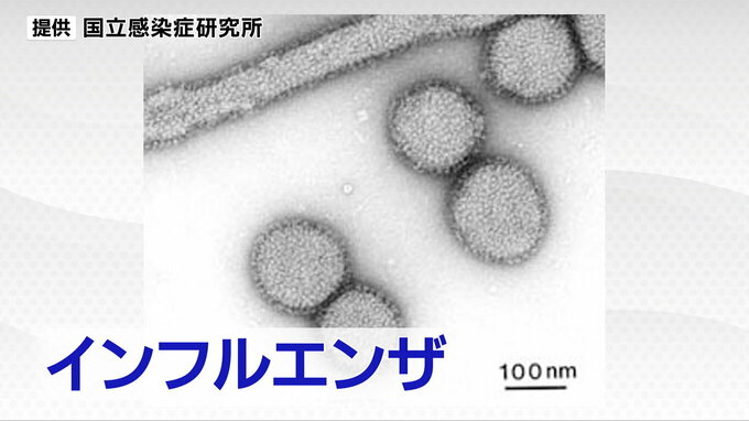 【宮城県】インフルエンザ患者の8割以上が14歳以下