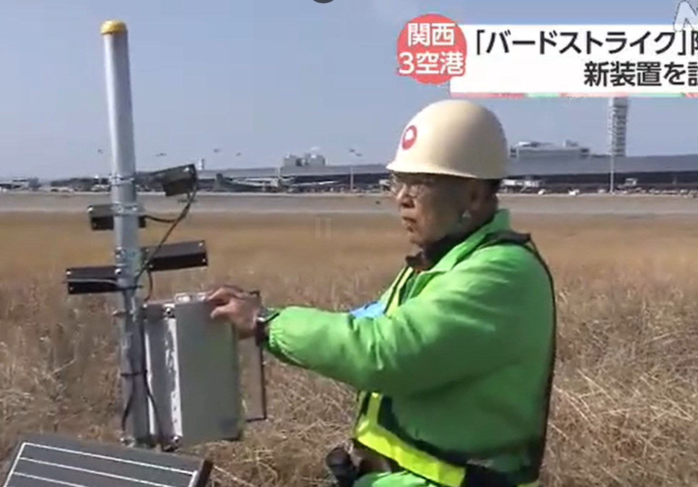 航空機と鳥の衝突 高周波の音で防ぐ新装置 関西３空港に設置