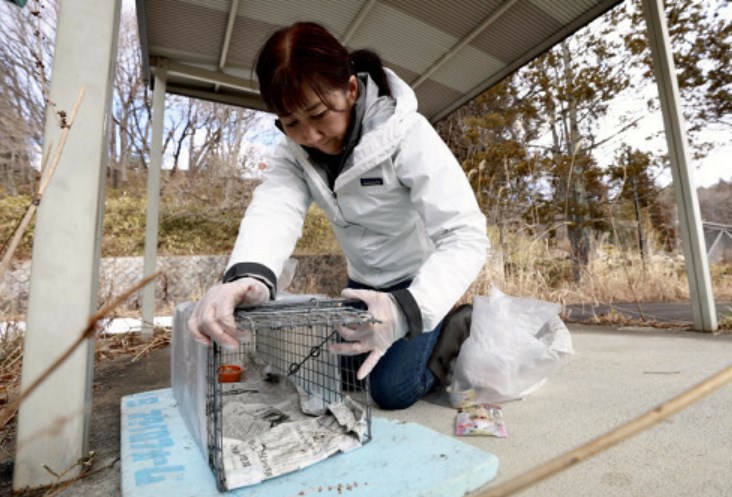 【帰還困難区域】猫３０００匹超が野生化…捕獲・保護するＮＰＯが写真展「考える材料に」