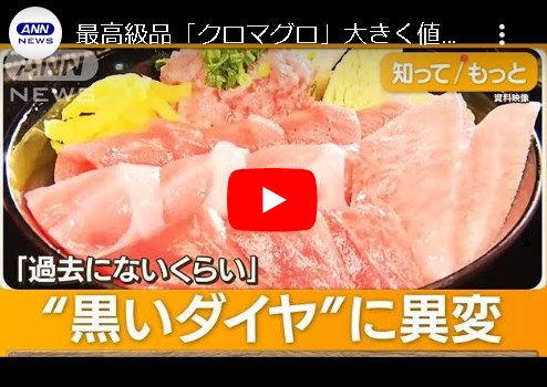 【最高級品「クロマグロ」大きく値下がり】過剰在庫＆不景気が影響…安値いつまで？