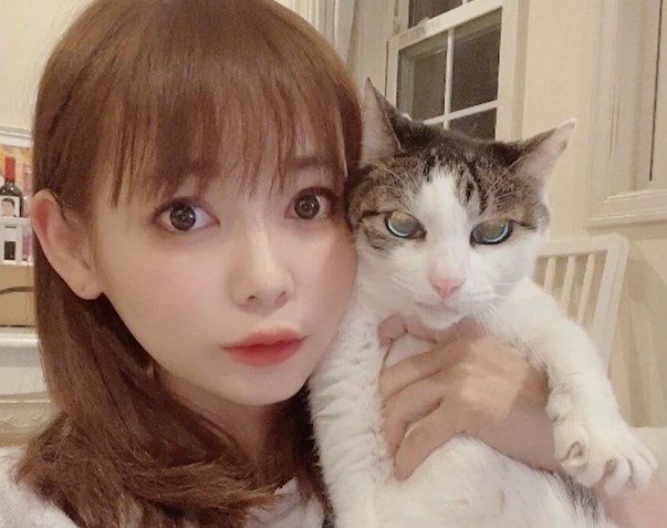 中川翔子、愛猫が心臓発作で緊急搬送され手術「おうちに早く帰れるよう頑張っている」