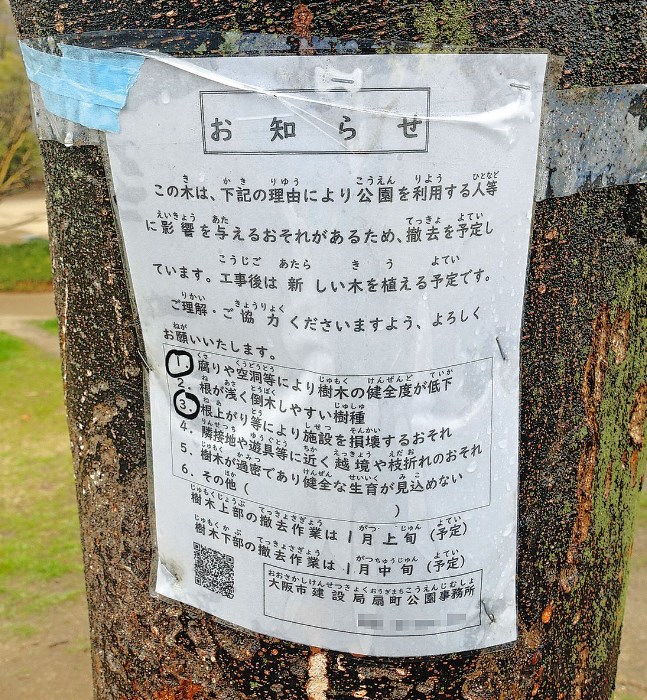 【東京新聞】大阪市で進む「樹木1万9000本」大量伐採計画　市は「安全のため」というけれど…真の狙いは？
