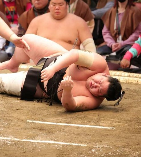 【大相撲】１９５キロの剣翔　起き上がれず車いすで搬送「膝がゴリゴリッと音がして」左膝のけが悪化で苦悶の表情　救急救命士も出動で場内騒然