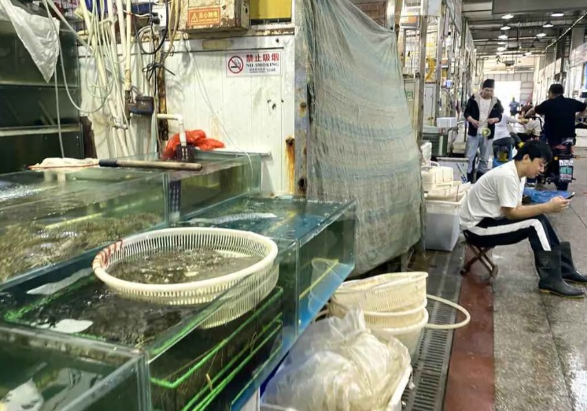 【処理水】中国、処理水の賠償制度創設を要求　「安全問題なし」日本政府は拒否　輸入停止撤廃巡り