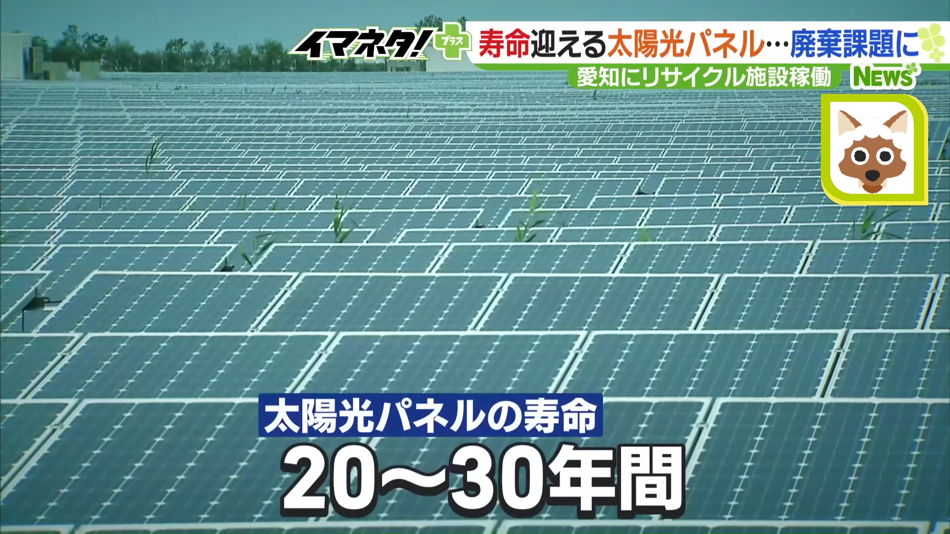 【環境省】太陽光発電パネル ブームで設置後、一斉に大量廃棄の懸念…老朽化以外にも原因が