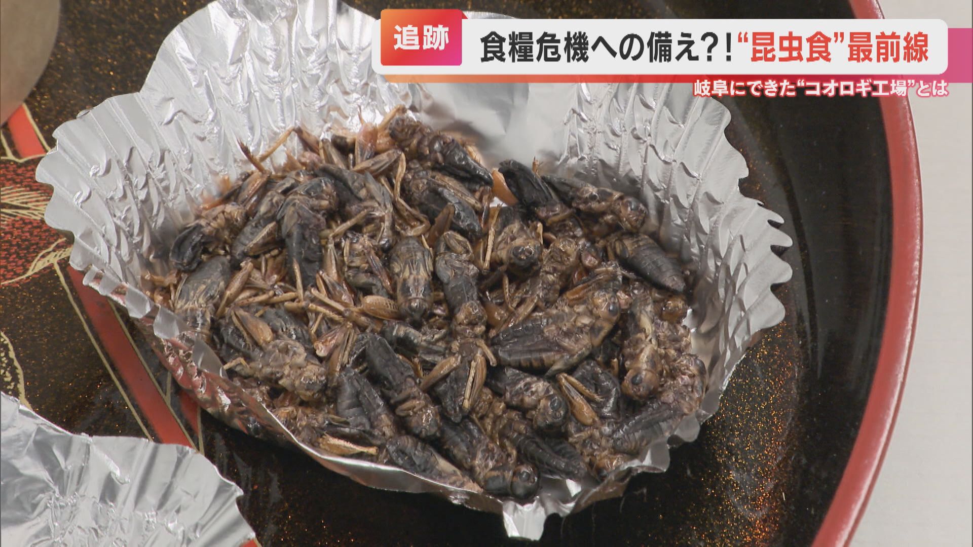 「見なければ、塩味の効いたエビですね」 食用コオロギ